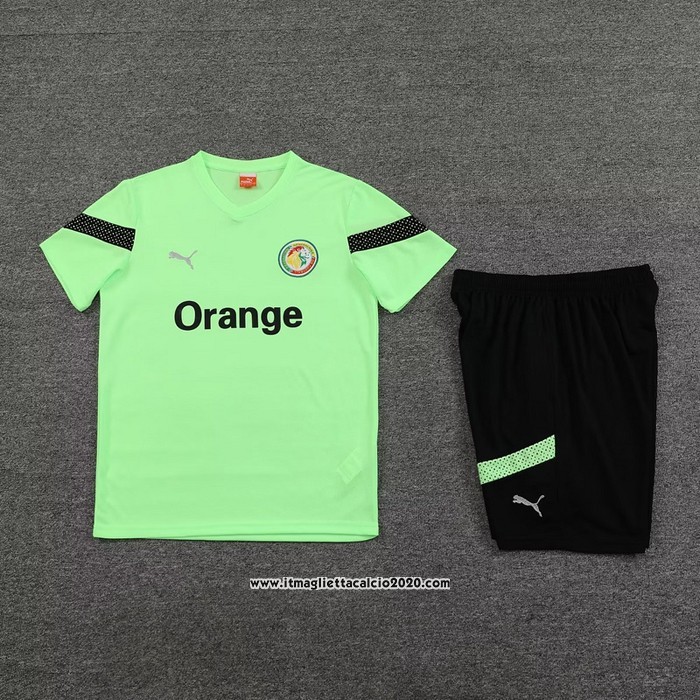 Tuta da Track Senegal Manica Corta 202023 2024 Verde - Pantalon Corto